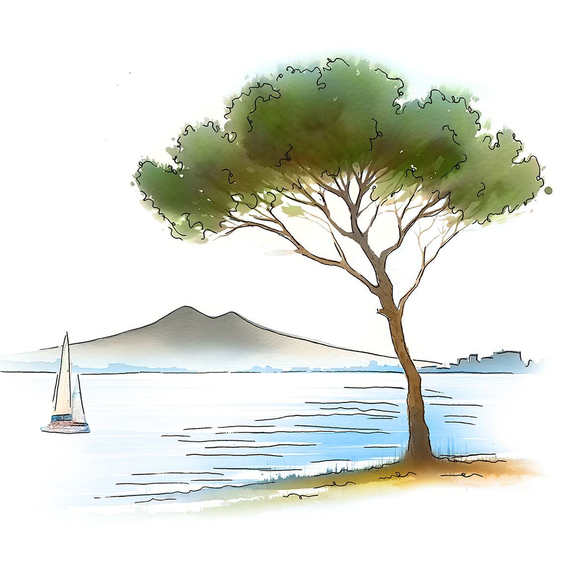 sfondo Campania Falanghina IGT